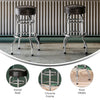 Bruno Double Ring Chrome Barstool with Dark Brown Seat - Flash Furniture