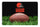 Cleveland Browns Pet Bowl Mat Classic Football Size Large - GAMEWEAR