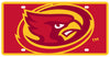 Iowa State Cyclones License Plate Acrylic Mega Style - Stockdale Technologies