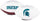 Michigan State Spartans Football Full Size Embroidered Signature Series - Jarden