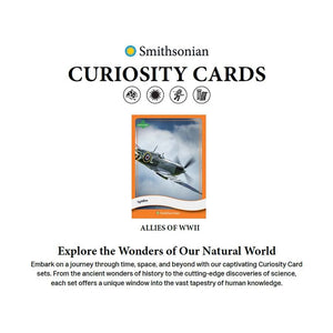 Parkside Collectibles Inc -  Smithsonian Curiosity - 2025 Smithsonian Curiosity Allies Of World War 2