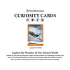 Parkside Collectibles Inc -  Smithsonian Curiosity - 2025 Smithsonian Curiosity Allies Of World War 2