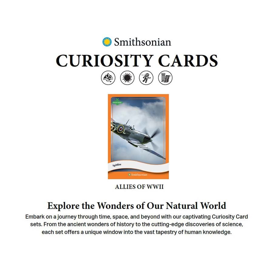 Parkside Collectibles Inc -  Smithsonian Curiosity - 2025 Smithsonian Curiosity Allies Of World War 2