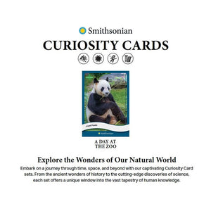 Parkside Collectibles Inc -  Smithsonian Curiosity - 2025 Smithsonian Curiosity A Day At The Zoo Set