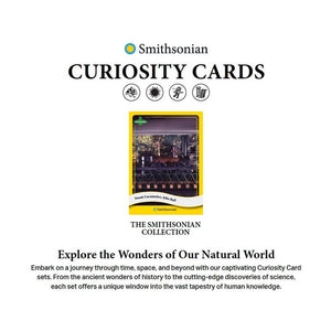 Parkside Collectibles Inc -  Smithsonian Curiosity - 2025 Smithsonian Curiosity The Smithsonian Collection Set