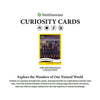 Parkside Collectibles Inc -  Smithsonian Curiosity - 2025 Smithsonian Curiosity The Smithsonian Collection Set