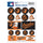 Baltimore Orioles Decal Sheet 5x7 Vinyl - WinCraft