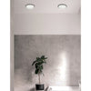 14W Matte Black Flush Mount - Dainolite