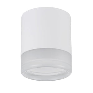 15W Matte White Flush Mount w/ Clear & Frosted Acrylic Diffuser - Dainolite