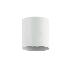 1LT Flush Mount,  MW - Dainolite