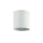 1LT Flush Mount,  MW - Dainolite
