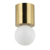 1LT Flush Mount,  AGB - Dainolite