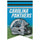 Carolina Panthers Banner 17x26 Pennant Style Premium Felt - WinCraft