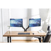 Rocelco 46'' Large Height Adjustable Standing Desk