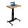 Rocelco 28'' Height Adjustable Mobile School Standing Desk