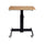 Rocelco 28'' Height Adjustable Mobile School Standing Desk