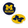 Michigan Wolverines Car Coaster Set 2 Pack Periodic Restock - Evergreen Enterprises