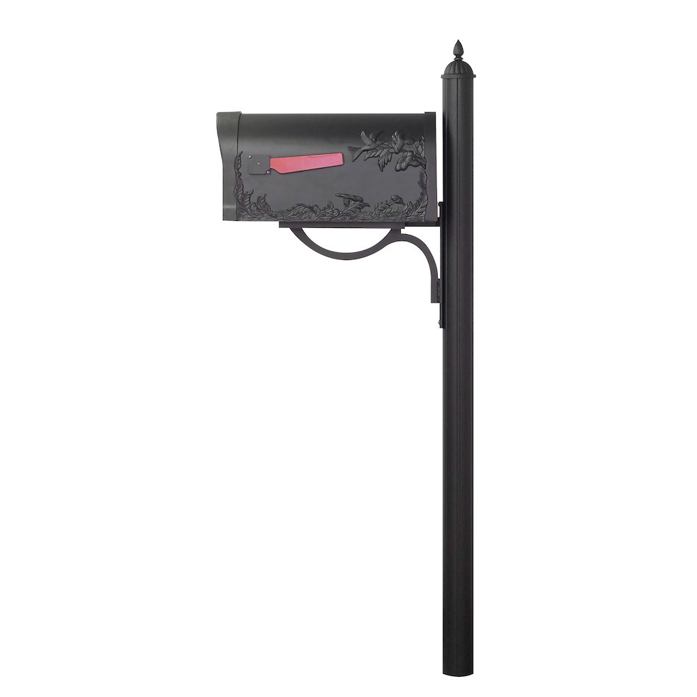 Hummingbird Curbside Mailbox with Locking Insert and Richland Mailbox Post - Special Lite Products