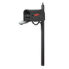 Hummingbird Curbside Mailbox with Locking Insert and Richland Mailbox Post - Special Lite Products