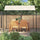 Gazebo Set of 2 Cream White and Black Polyester Large Durable - vidaXL