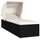 Sun Lounger Black and Cream PE Rattan Standard Foldable - vidaXL