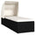 Sun Lounger Black and Cream PE Rattan Standard Foldable - vidaXL