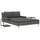 Sun Lounger Grey Rattan and Dark Grey Cushion - vidaXL