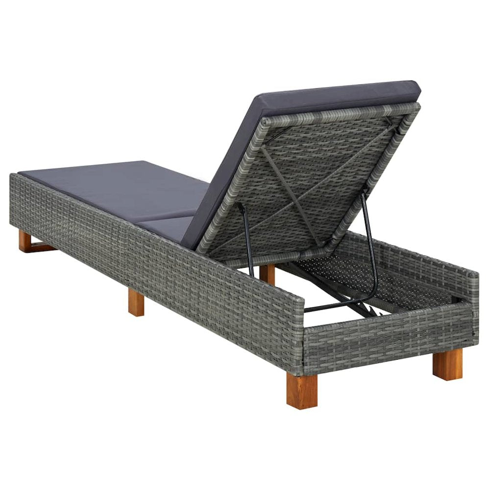 Sunbed Grey, Dark Grey - vidaXL