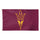 Arizona State Sun Devils Flag 3x5 Team - WinCraft
