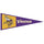 Minnesota Vikings Pennant Wool 13x32 - WinCraft