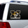 Missouri Tigers Window Film 12 Inch Die Cut -