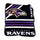 Baltimore Ravens Blanket 50x60 Raschel Throw - Logo Brands