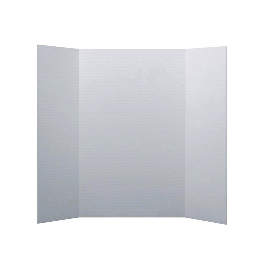 PROJECT BOARDS WHITE CARTON OF 24 - Flipside