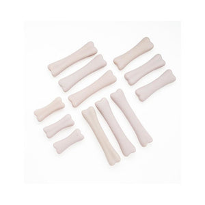 DINOSAUR BONES DISCOVERY SET - Yellow Door