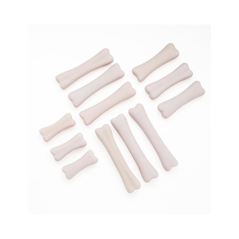 DINOSAUR BONES DISCOVERY SET - Yellow Door