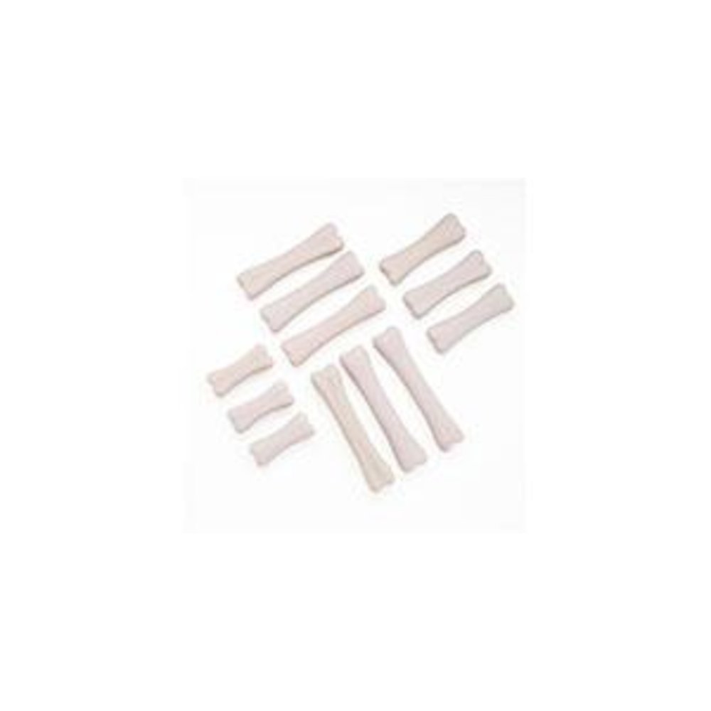 DINOSAUR BONES DISCOVERY SET - Yellow Door