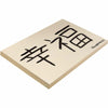 Pacon Medium Weight Manila Tagboard - Art Project, Craft Project - 12''Width x 18''Length - 100 / Pack - Manila