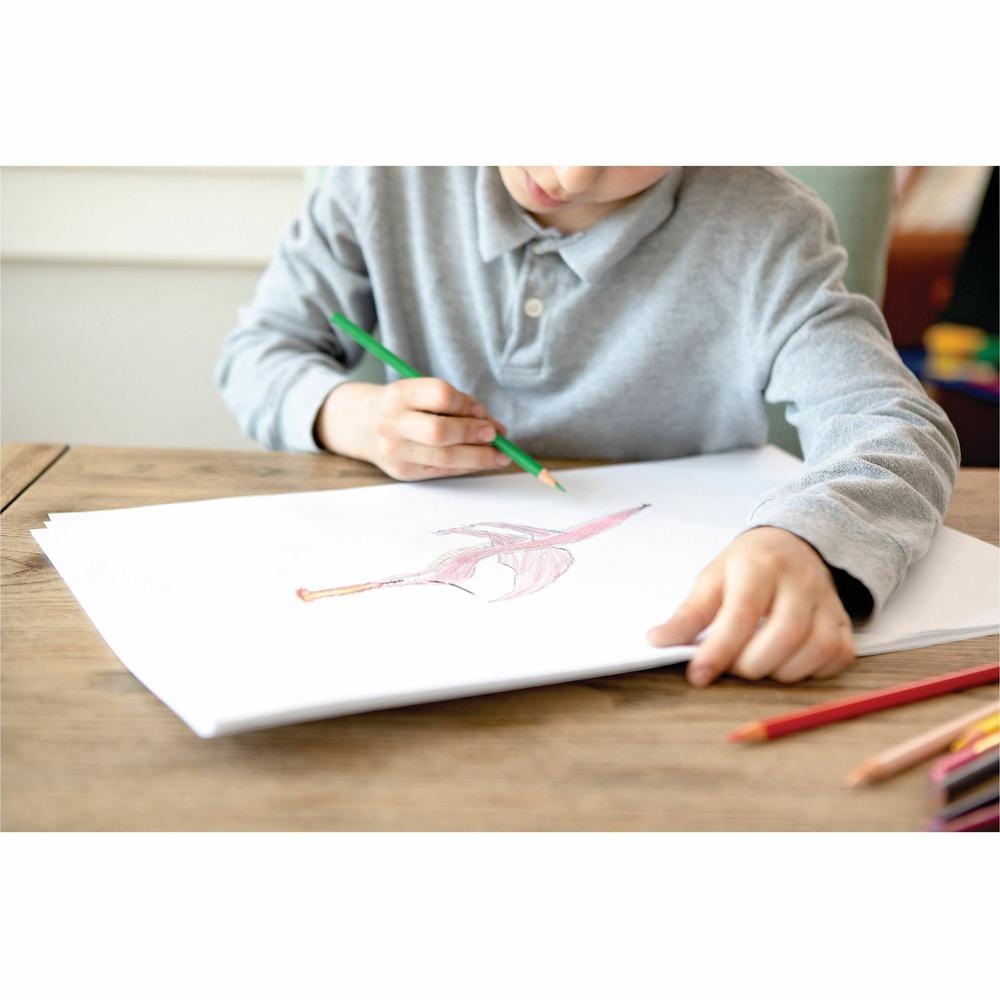 Pacon Drawing Paper - 500 Sheets - Plain - 12'' x 18'' - White Paper - Standard Weight - 500 / Ream