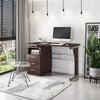 Computer Desk with Ample Storage - Techni Mobili
