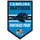 Carolina Panthers Sign 11x17 Wood Chevron - WinCraft