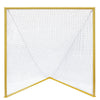 PerfectPitch Pro Collegiate Goal  Yellow & Black