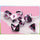 Chessex Mfg Co Llc -  Dice Menagerie 11: Gemini Polyhedral Black-White With Pink 7-Die Set