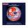 Clemson Tigers Paperweight Domed - Sporticulture