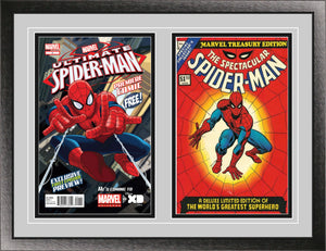 Double Comic Book Frame with Classic Moulding