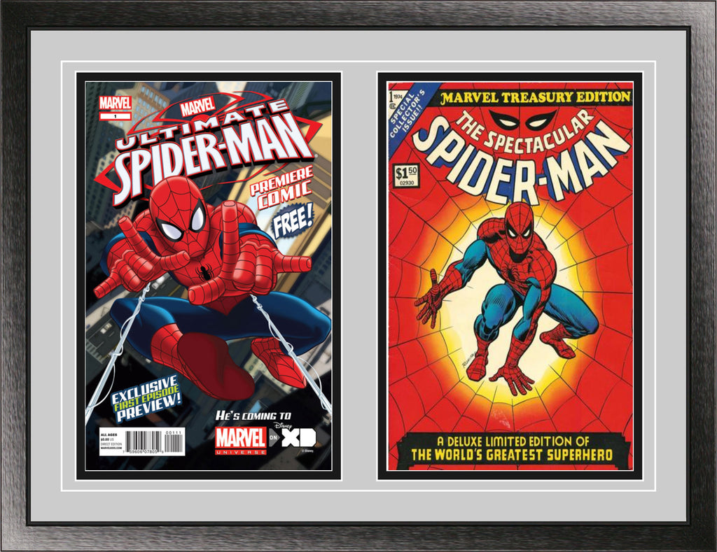 Double Comic Book Frame with Classic Moulding