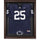 Penn State Nittany Lions Brown Framed Logo Jersey Display Case