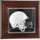 Baylor Bears Brown Framed Logo Wall-Mountable Mini Helmet Display Case
