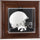 Iowa Hawkeyes Brown Framed Wall-Mountable Mini Helmet Display Case