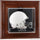 Pittsburgh Panthers Brown Framed Wall-Mountable Mini Helmet Display Case