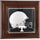 Tennessee Volunteers Brown Framed Wall-Mountable Mini Helmet Display Case